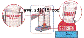 �Lɳ���M(j��n)����ƽ,260g,0.0001g