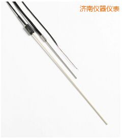 濟南R 型和 S 型標(biāo)準(zhǔn)熱電偶