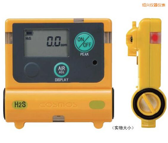 紹興硫化氫計